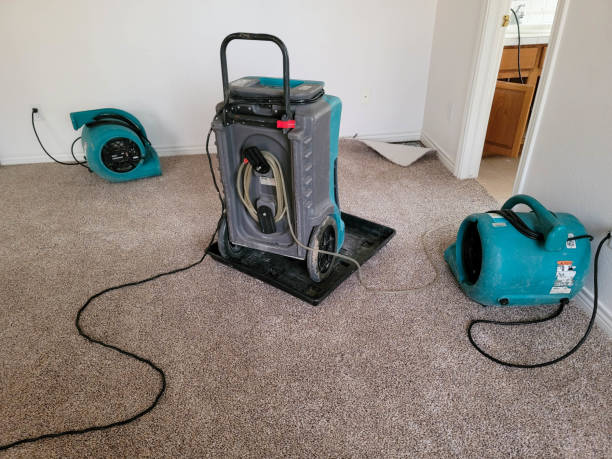 Best Flood damage cleanup  in Roseland, OH
