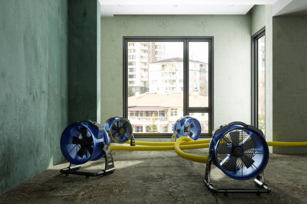 Best 24-hour water damage restoration  in Roseland, OH