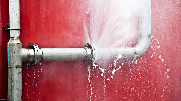 Best Basement water damage restoration  in Roseland, OH